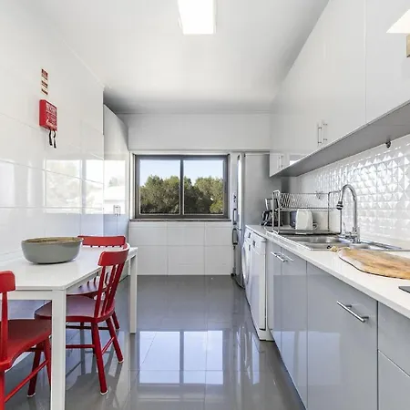 Guia Alamos Duplex *