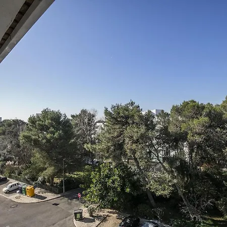 Guia Alamos Duplex Cascais