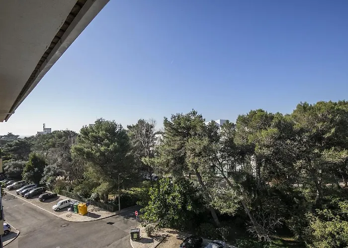 Guia Alamos Duplex Cascais